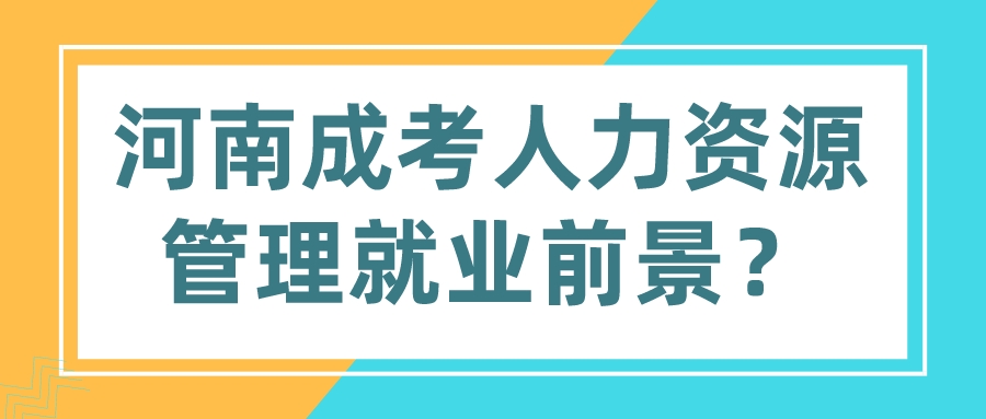 河南成考人力资源管理就业前景？