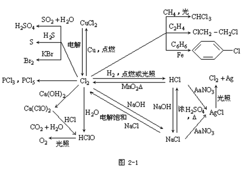 【河南成人高考】2019年高起点化学元素及其化合(图1)